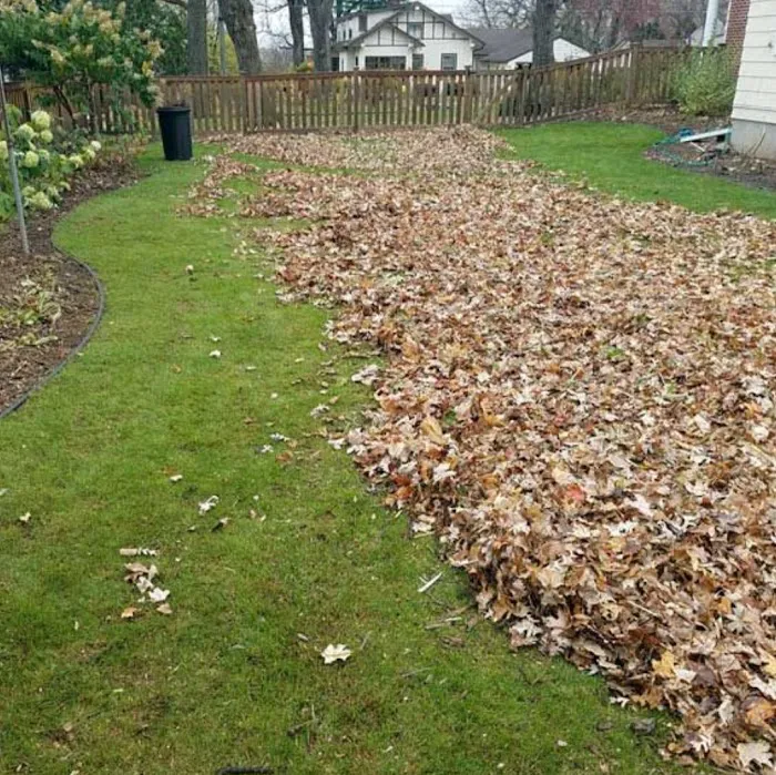 K's Lawn Care Picture 7