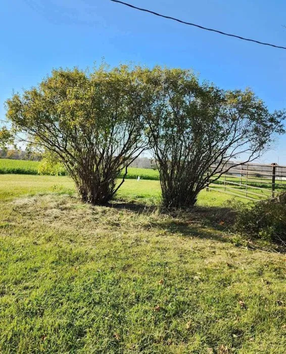 K's Lawn Care Picture 3