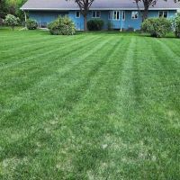 K's Lawn Care ico