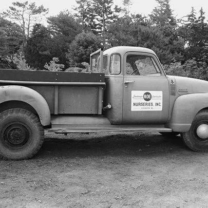 Roe Nurseries, Inc. Picture 9