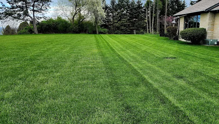 Asap Earth Landscaping & Lawn Care Picture 4