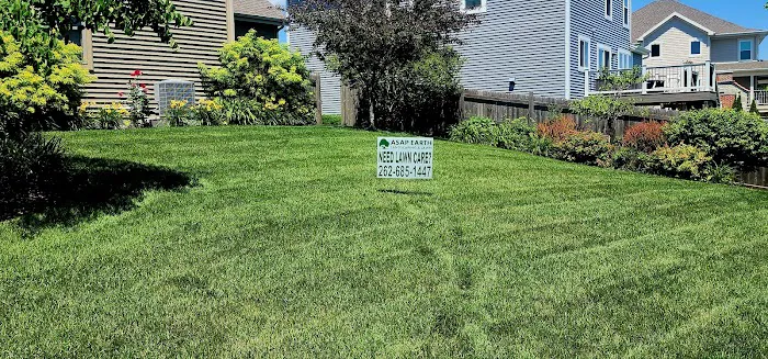 Asap Earth Landscaping & Lawn Care Picture 2