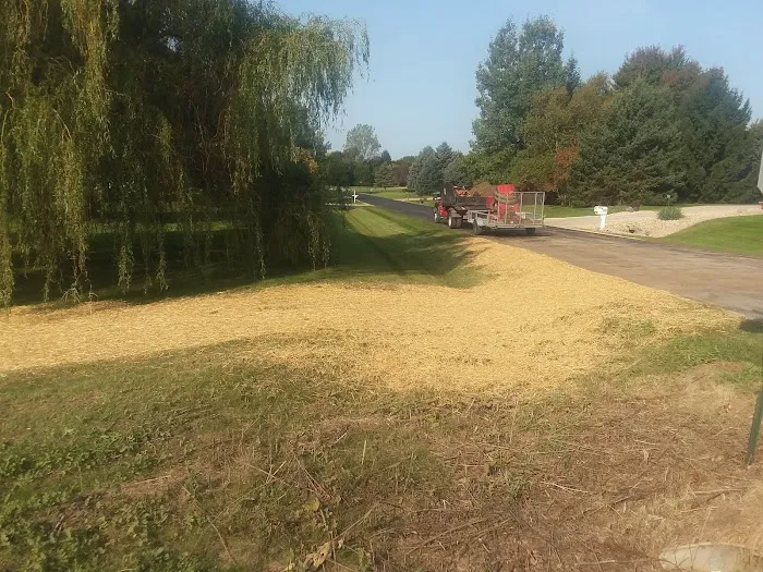 Madison Landscape Construction Picture 4