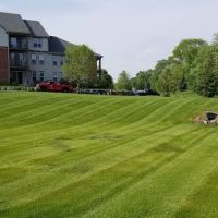 Madison Landscape Construction ico