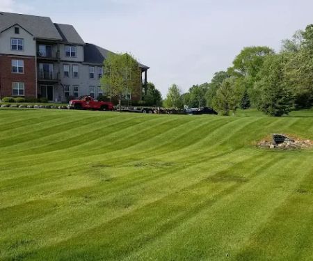 Madison Landscape Construction