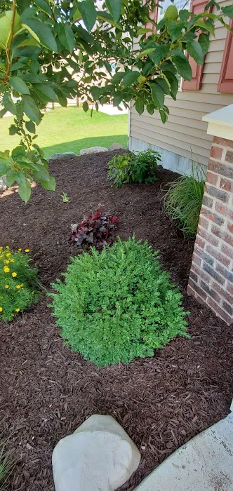 Greenscapes Picture 1