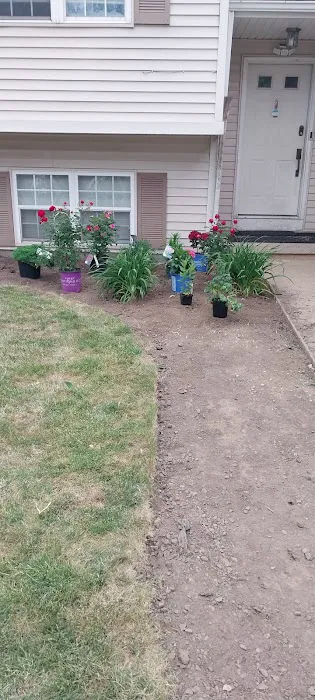Road Runner Green Landscaping Picture 9