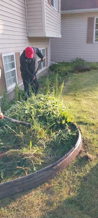 Road Runner Green Landscaping Picture 4
