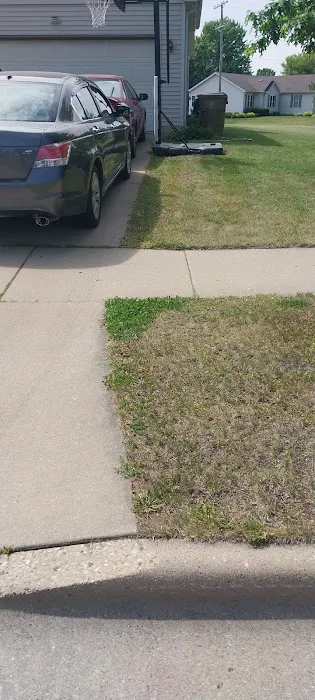 Road Runner Green Landscaping Picture 10