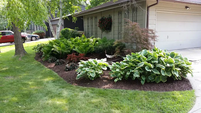 CK Lawn & Landscape Picture 1