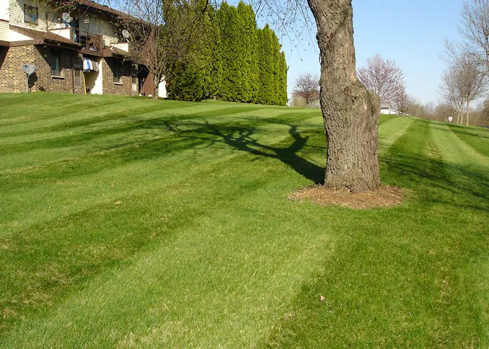 CK Lawn & Landscape Picture 8