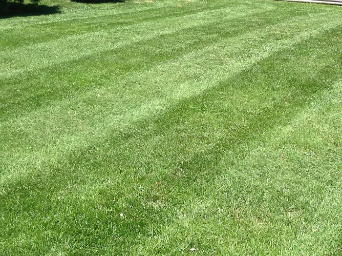 EB3Snowremoval LLC Picture 6