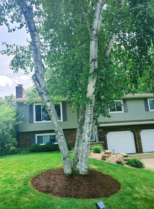 Friske Lawn Care Inc. Picture 5