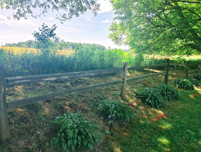Friske Lawn Care Inc. Picture 10