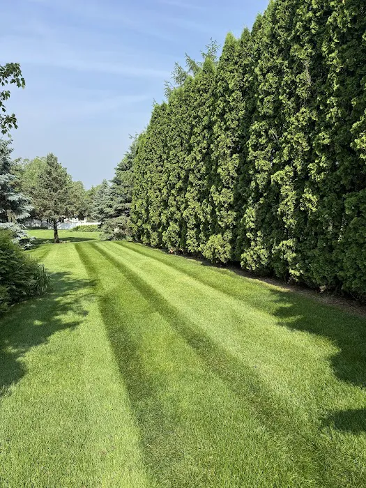 Friske Lawn Care Inc. Picture 4