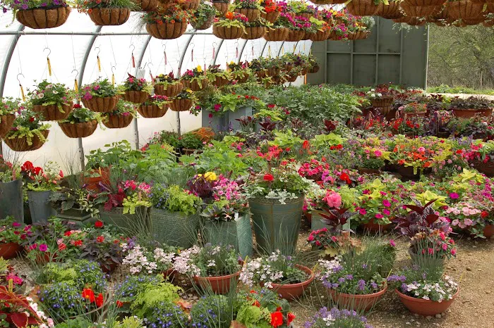 Heyden's Gardens Picture 4