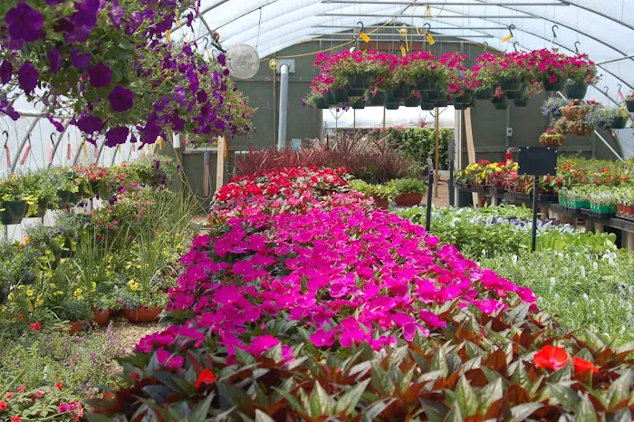 Heyden's Gardens Picture 3