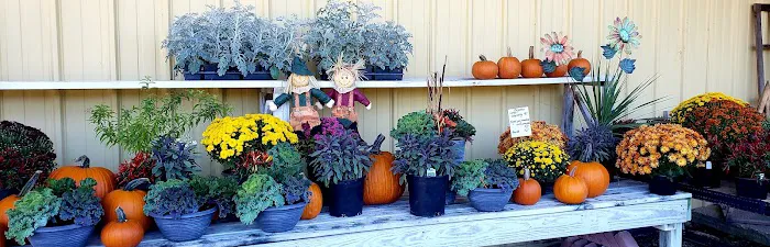 Gene Fransee & Son Nursery & Landscaping Picture 5