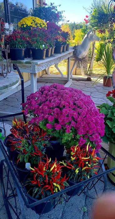 Gene Fransee & Son Nursery & Landscaping Picture 3