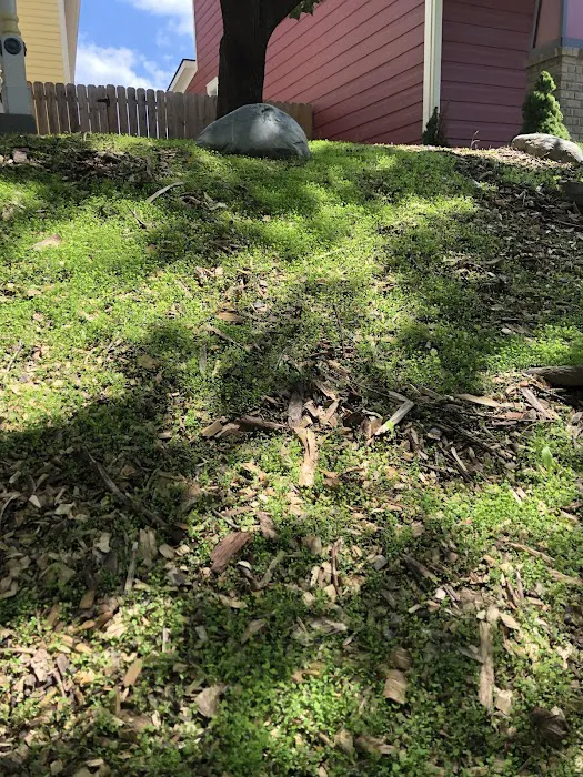 Spotts Garden Service Picture 1