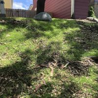 Spotts Garden Service ico