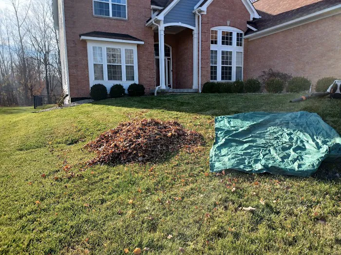 F.T.C Landscaping LLC Picture 3