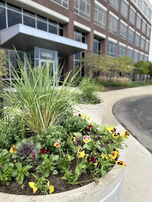 Wild Ridge Lawn & Landscape Picture 9