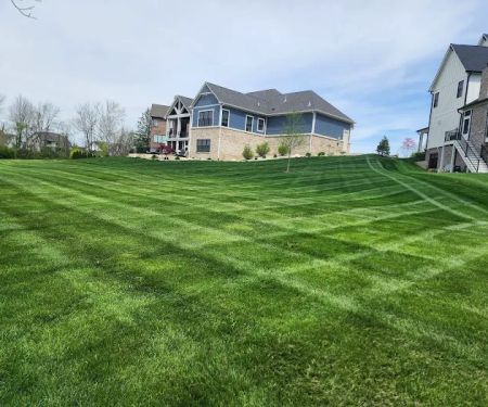 C&G LANDSCAPING LLC