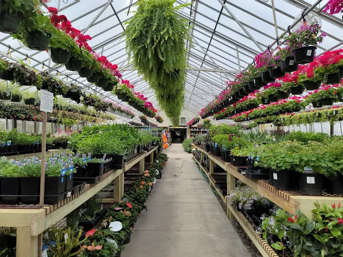 Dammann's Garden Company Picture 9