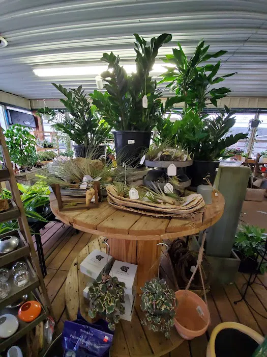 Dammann's Garden Company Picture 5