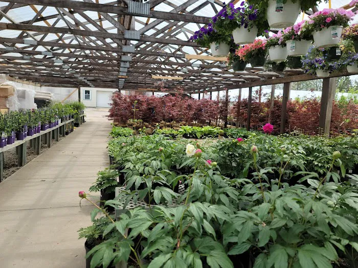 Dammann's Garden Company Picture 10