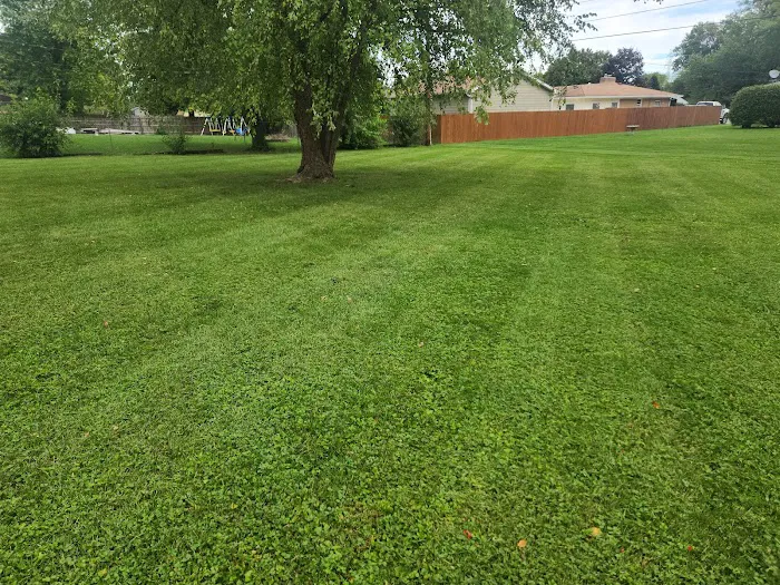 Henson's Lawn and Landscape Picture 7