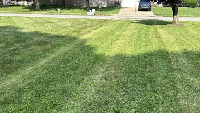 AJ’s Landscaping Picture 4