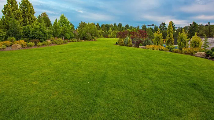 AJ’s Landscaping Picture 1