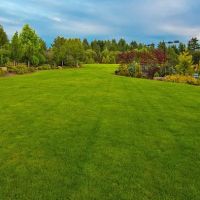 AJ’s Landscaping ico