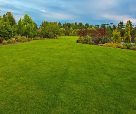 AJu2019s Landscaping