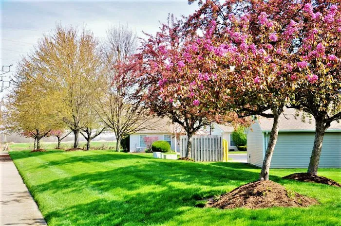 Komplete Landscape Contractors Picture 4