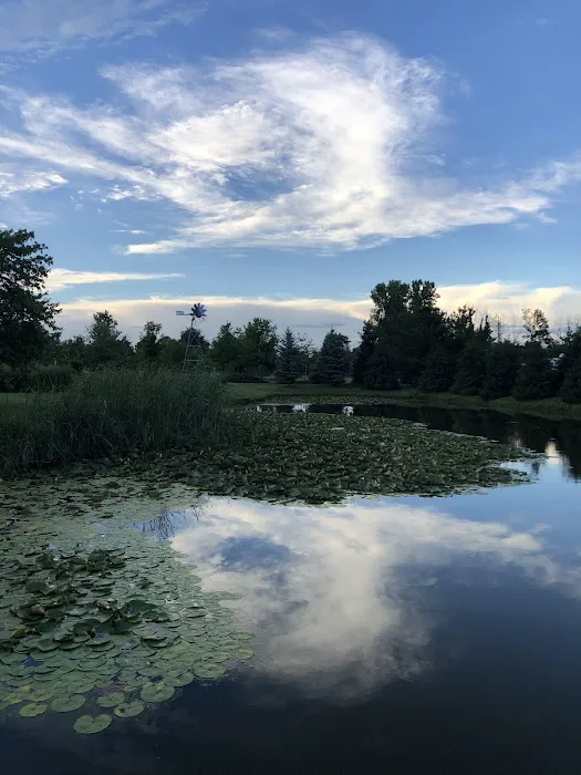 Landscape Specialties Picture 1