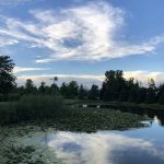 Landscape Specialties