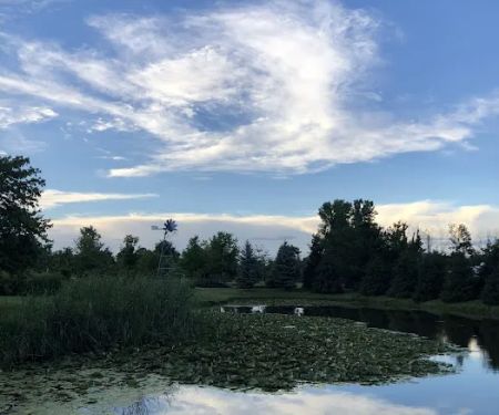 Landscape Specialties