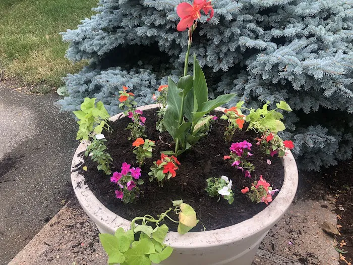 Green Effect Lawn And Landscape Management LLC Picture 3