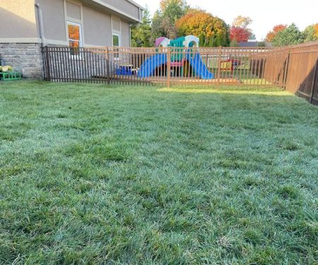 Natureu2019s Creations Lawn & Landscaping