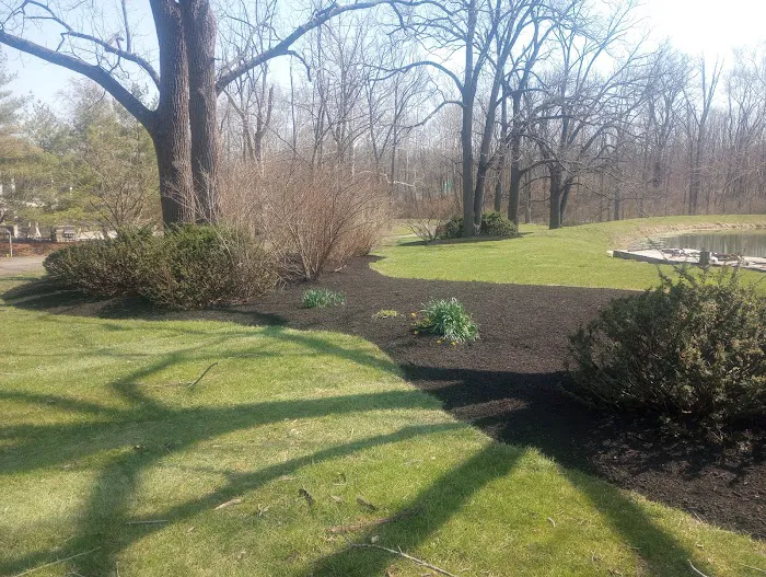 Casey's Landscaping Picture 6
