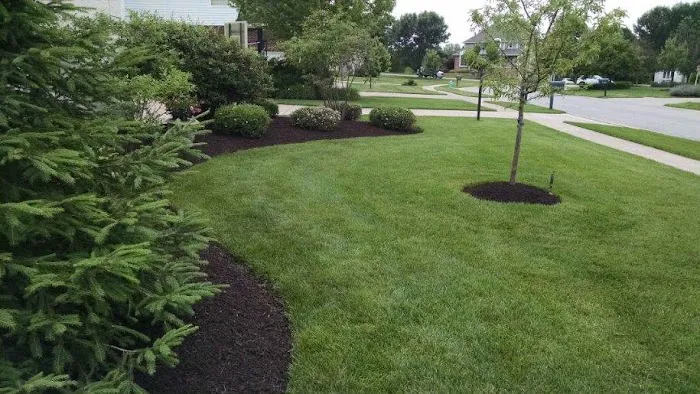 Casey's Landscaping Picture 1