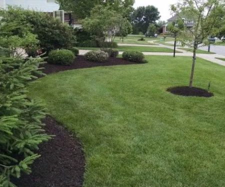 Casey's Landscaping