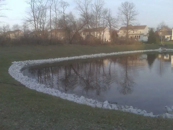 Coy Landscaping Inc. Picture 2
