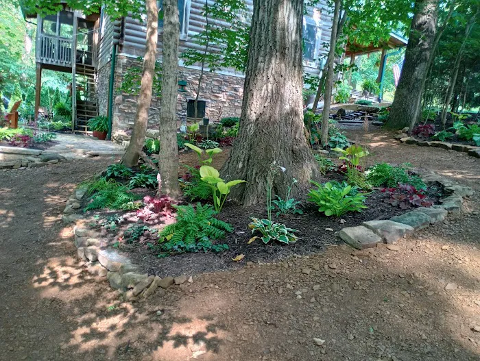 Johns Landscaping Picture 9