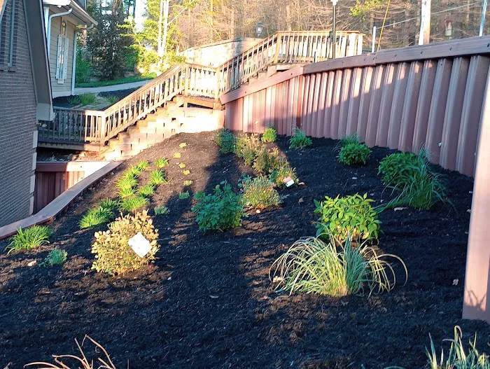 Johns Landscaping Picture 3