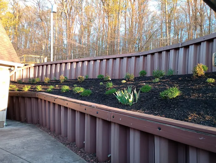 Johns Landscaping Picture 7