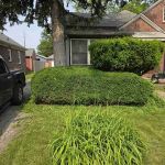 LawnStarter - Indianapolis Landscaping